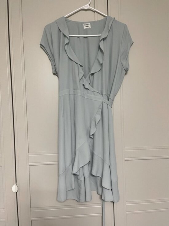 Dresses & Skirts - Aritzia Sunday Best Savoy Dress